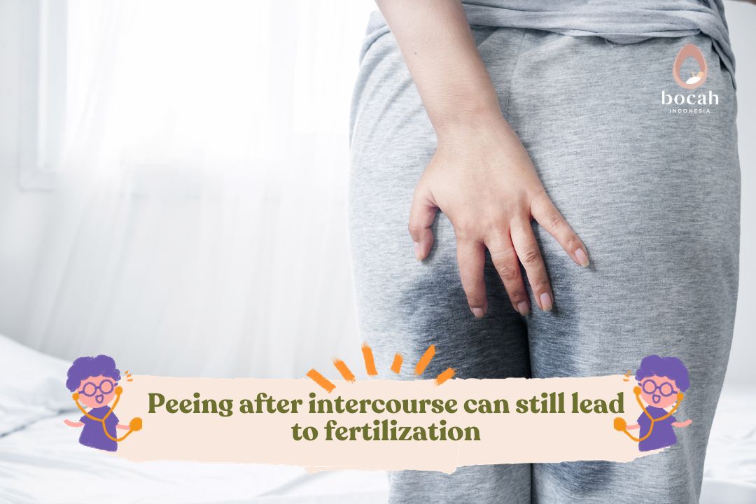 Peeing after intercourse can still lead to fertilization