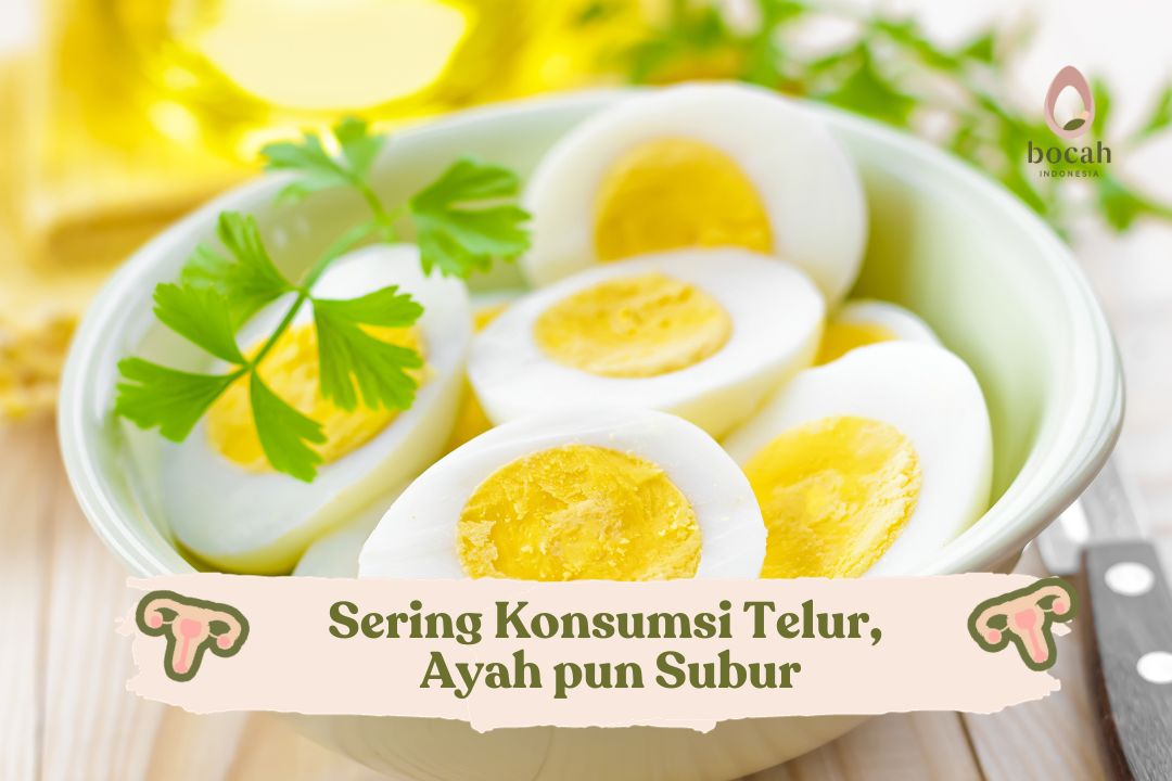 Sering Konsumsi Telur, Ayah pun Subur