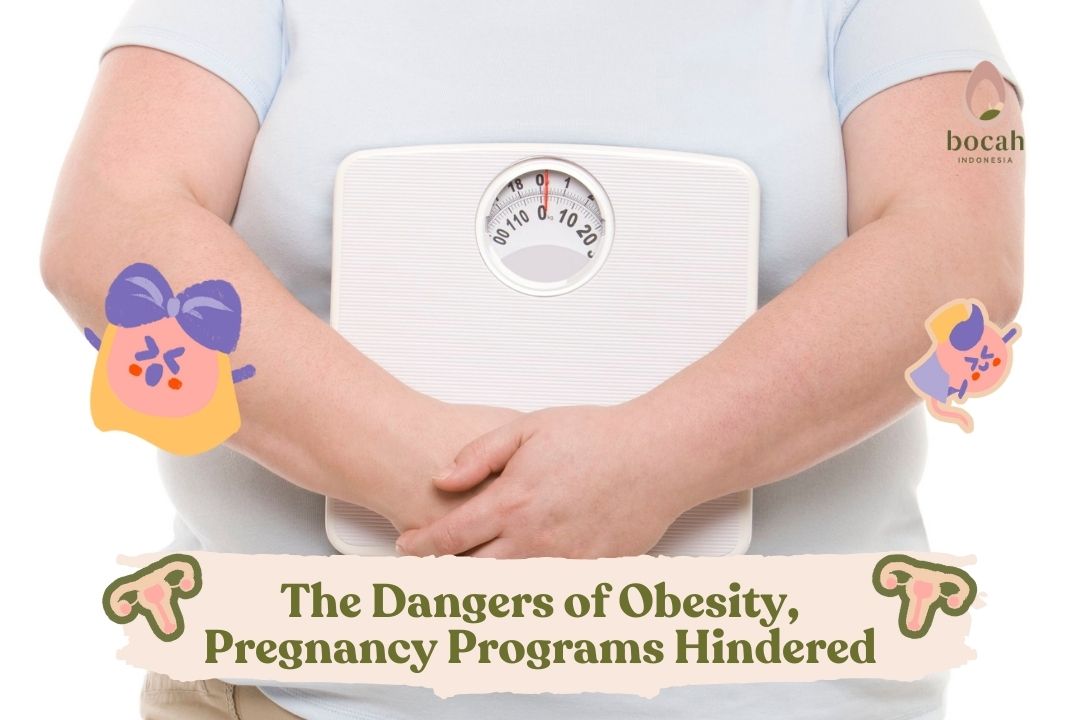 The Dangers of Obesity, Pregnancy Programs Hindered