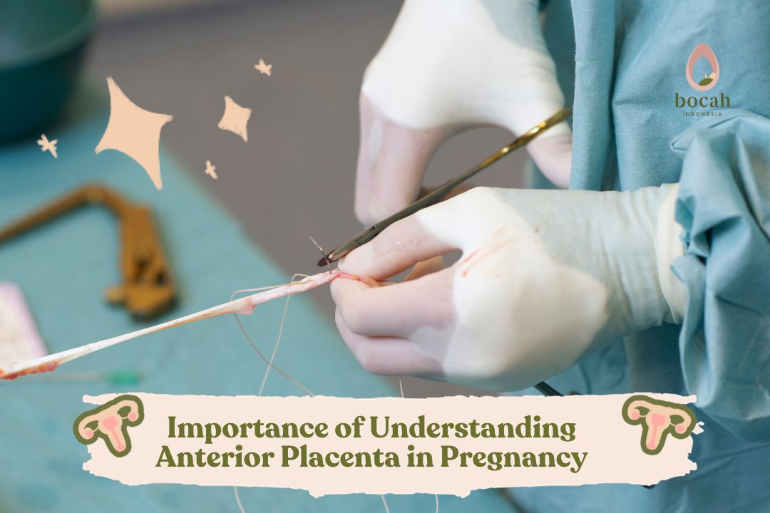 The Importance of Understanding Anterior Placenta in Pregnancy