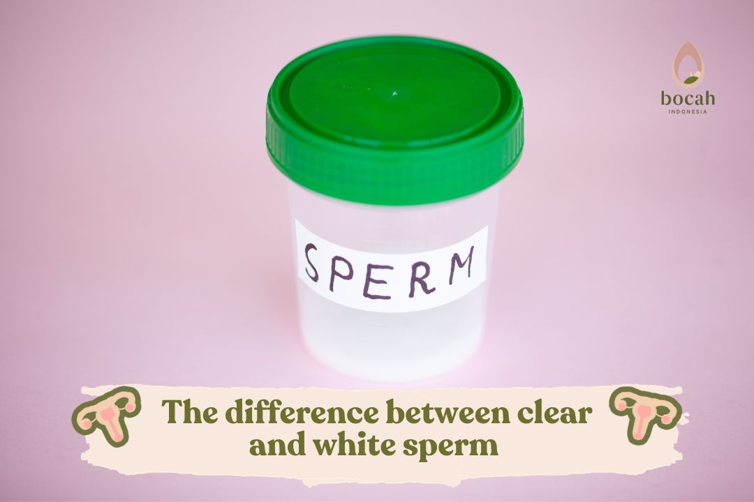 The difference between clear and white sperm