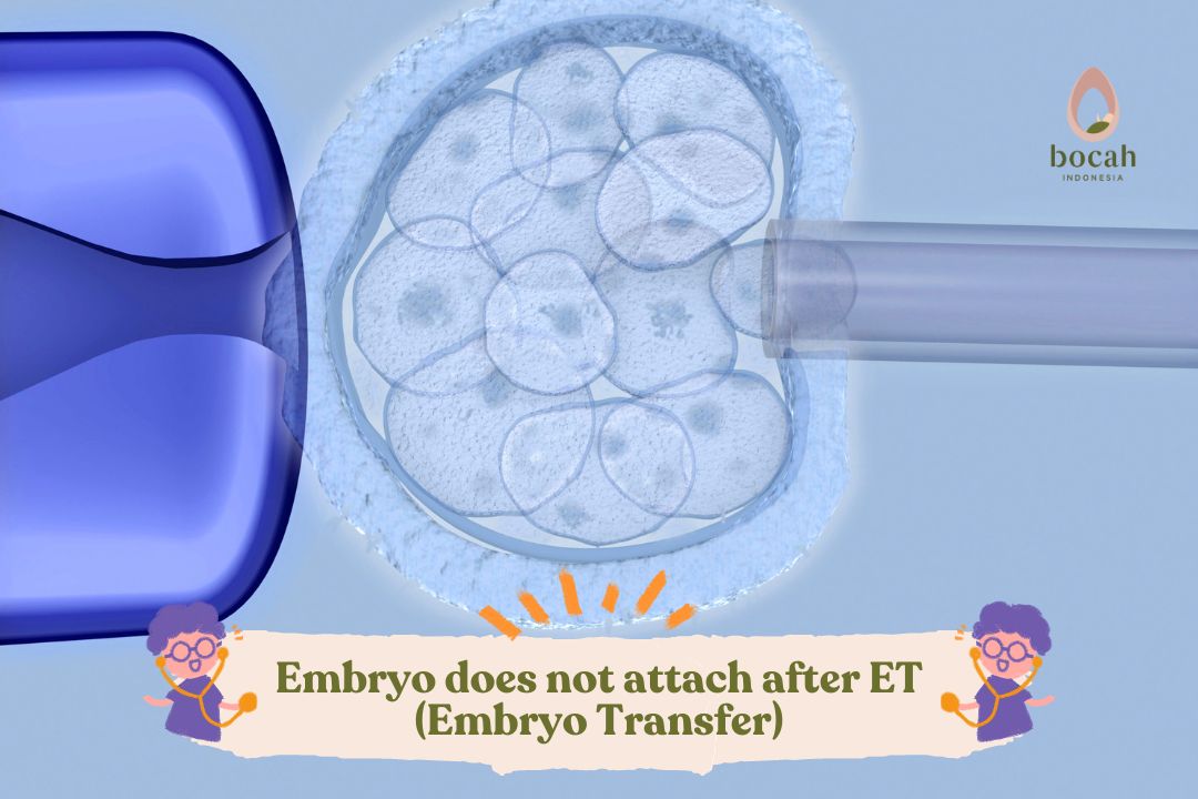 Embryo does not attach after ET (Embryo Transfer)