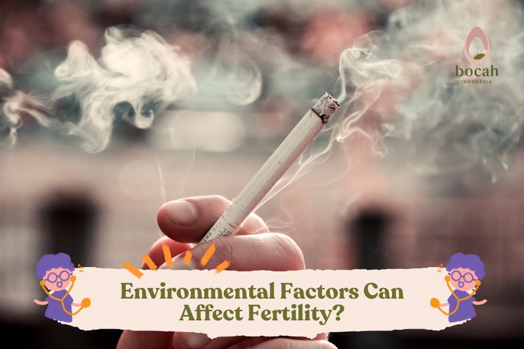 Environmental Factors Can Affect Fertility