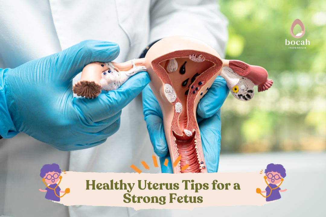 Healthy Uterus Tips for a Strong Fetus