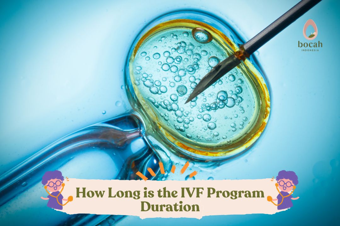 How Long is the IVF Program Duration