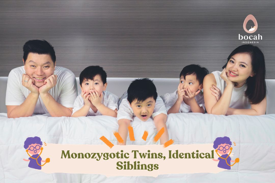 Monozygotic Twins, Identical Siblings