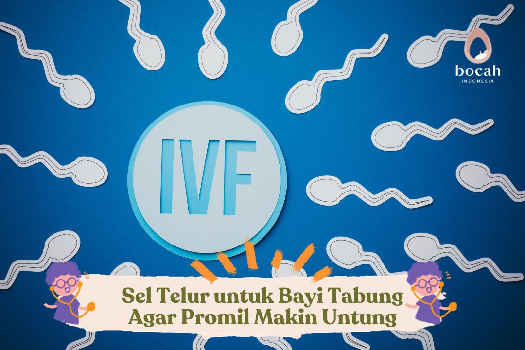 Sel Telur untuk Bayi Tabung Agar Promil Makin Untung