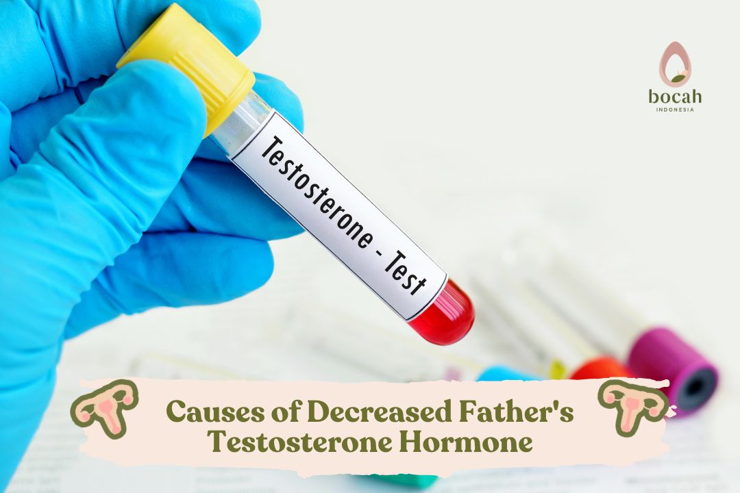 Causes of Decreased Father's Testosterone Hormone