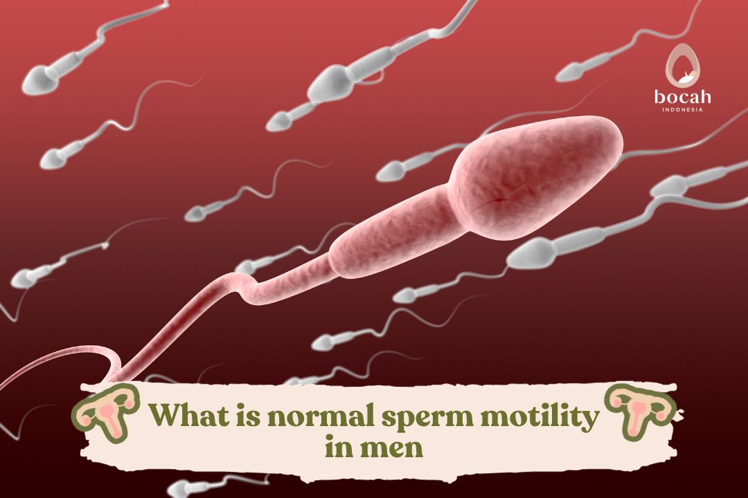 What is normal sperm motility in men