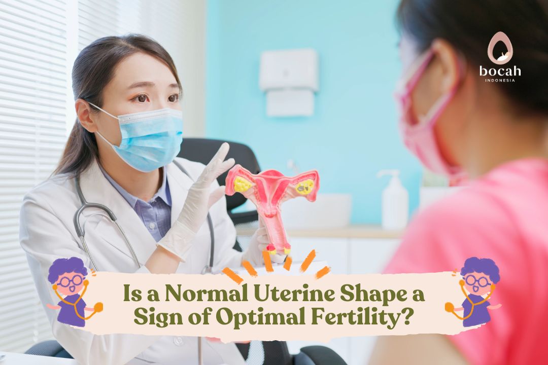 Is a Normal Uterine Shape a Sign of Optimal Fertility