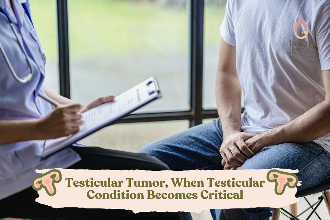 Testicular Tumor, When Testicular Condition Becomes Critical