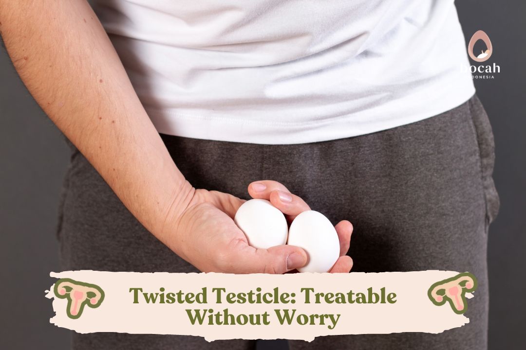 Twisted Testicle Treatable Without Worry