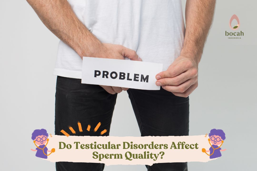 Do Testicular Disorders Affect Sperm Quality