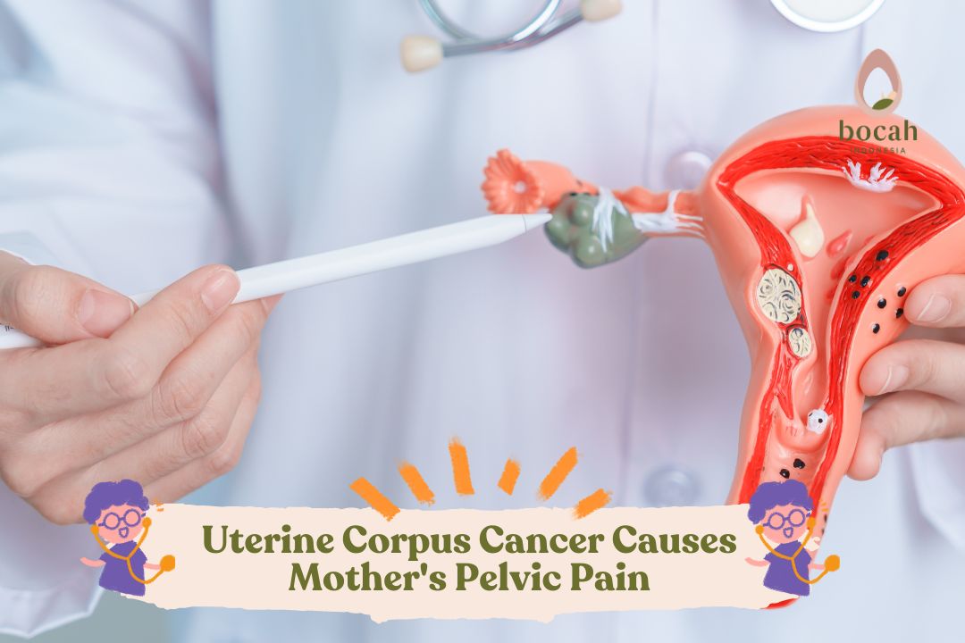 Uterine Corpus Cancer Causes Mother's Pelvic Pain