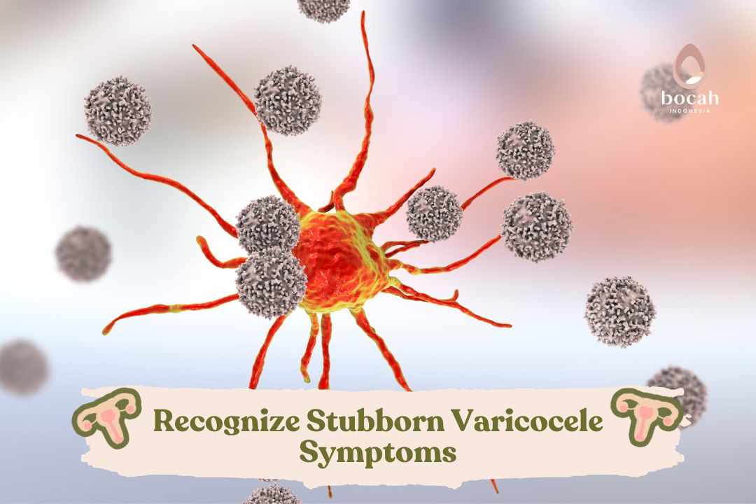 Recognize Stubborn Varicocele Symptoms