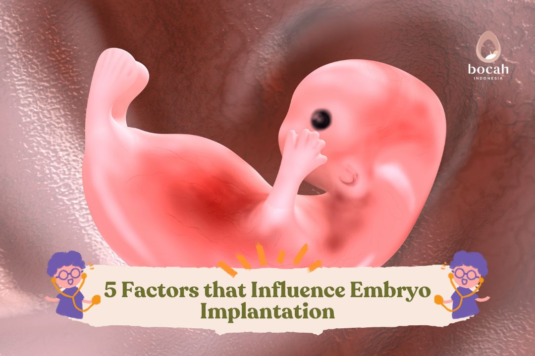 5 Factors that Influence Embryo Implantation