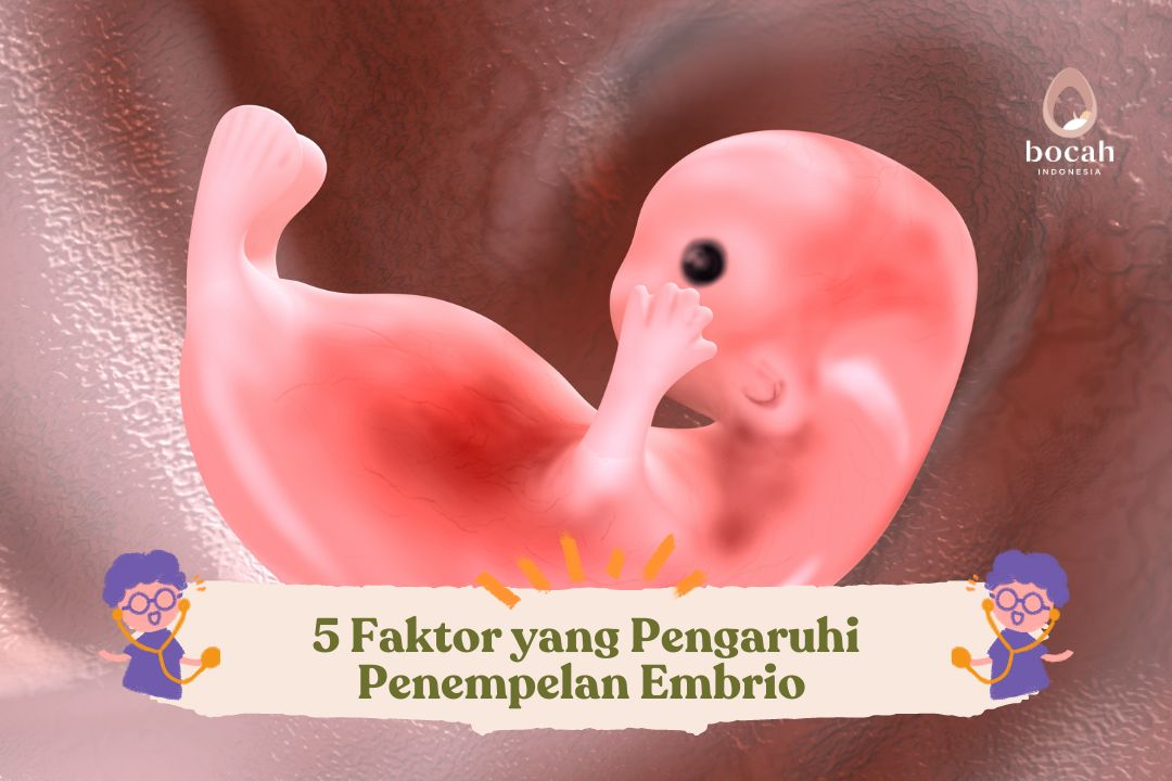 5 Faktor yang Pengaruhi Penempelan Embrio