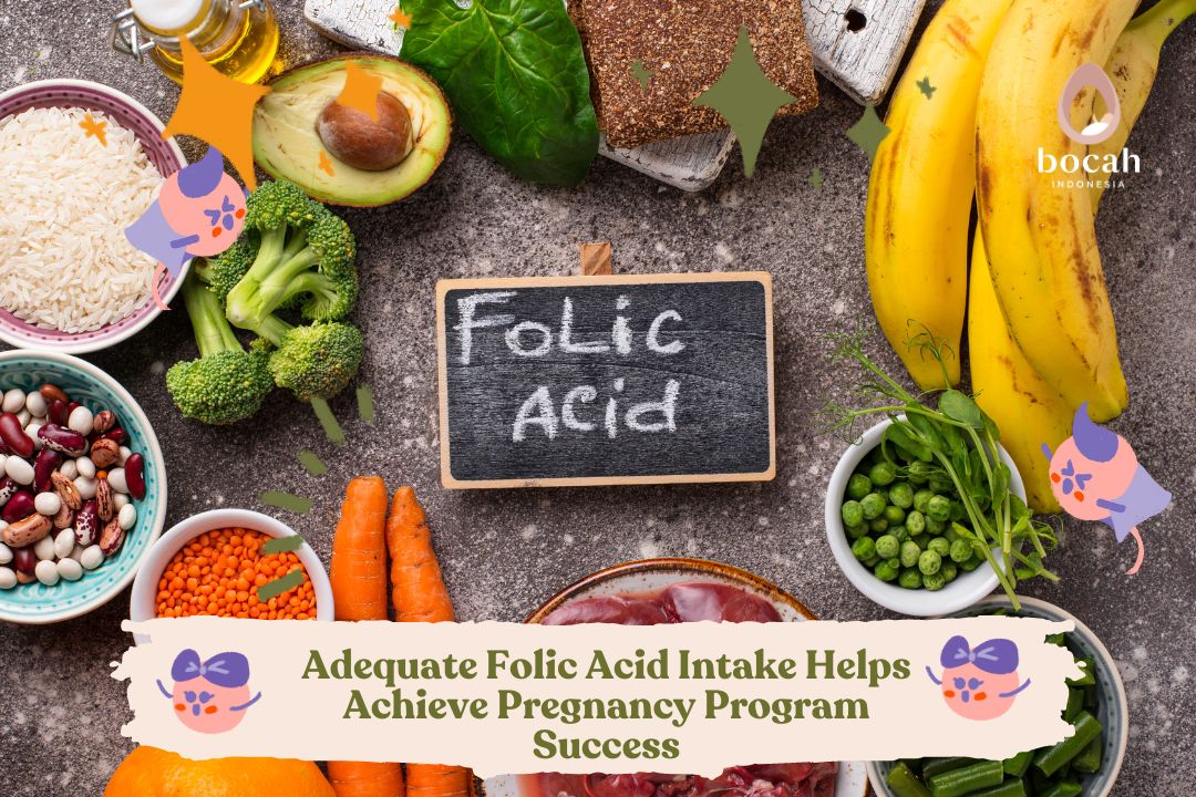 Adequate Folic Acid Intake Helps Achieve Pregnancy Program Success