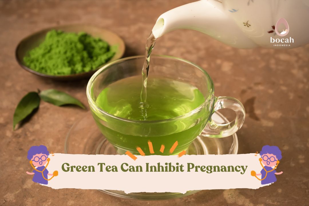 Green Tea Can Inhibit Pregnancy