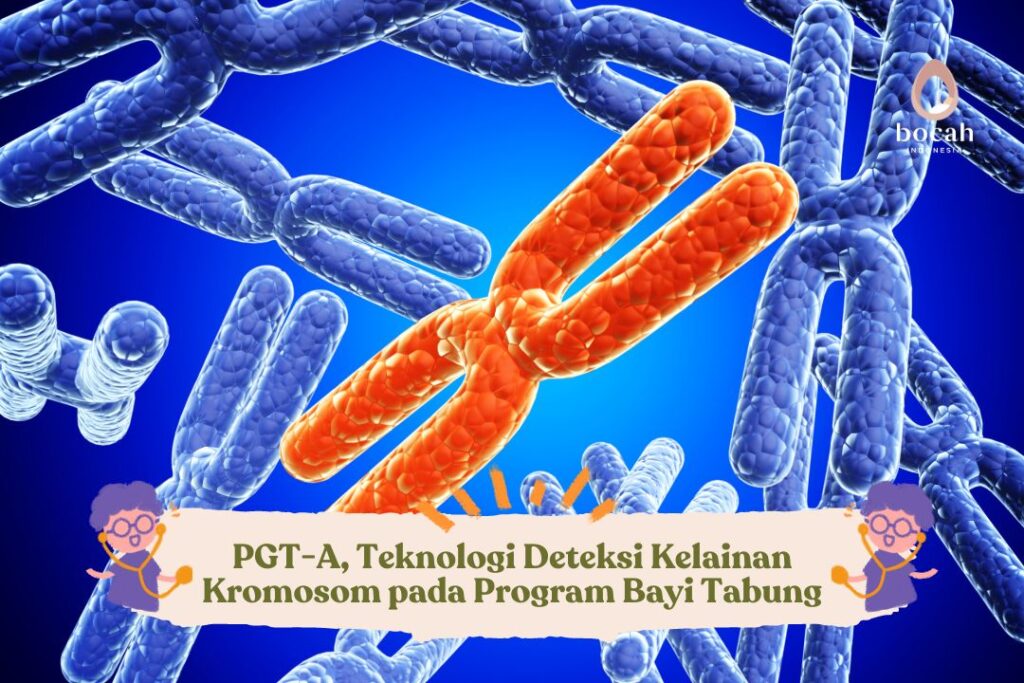 PGT-A, Teknologi Deteksi Kelainan Kromosom pada Program Bayi Tabung