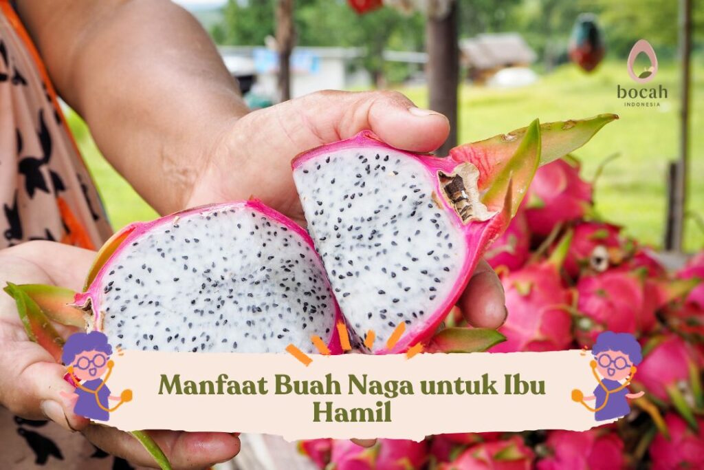 Manfaat Buah Naga untuk Ibu Hamil