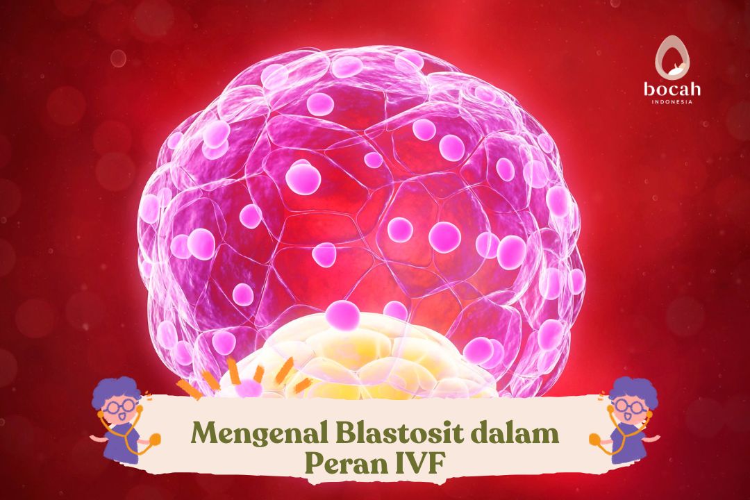 Mengenal Blastosit dalam Peran IVF