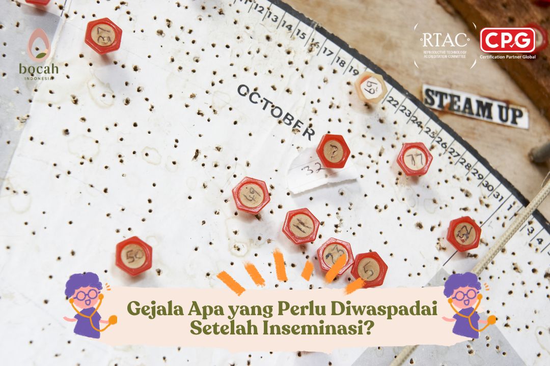 Gejala Apa yang Perlu Diwaspadai Setelah Inseminasi