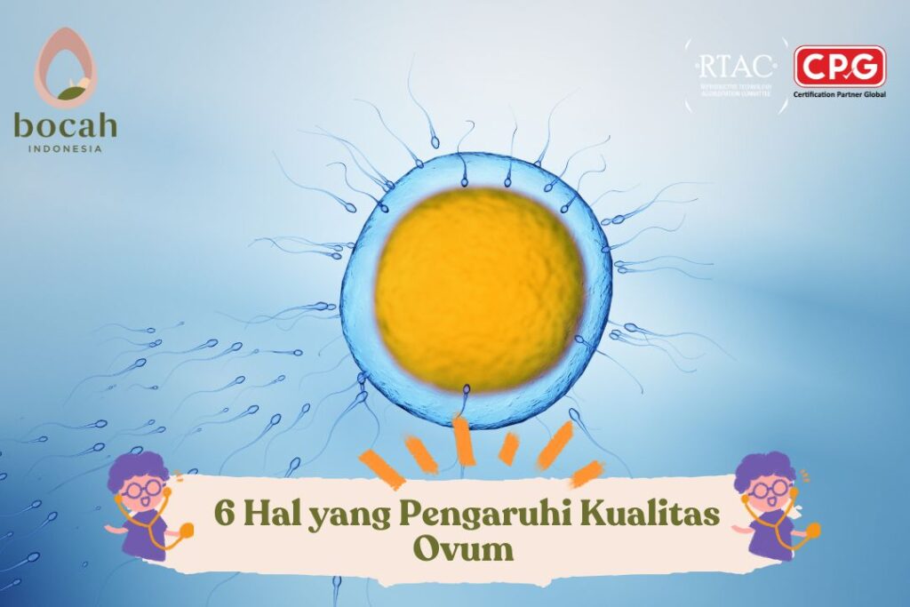 6 Hal yang Pengaruhi Kualitas Ovum