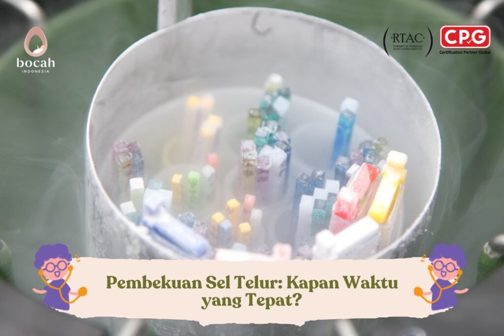 Pembekuan Sel Telur Kapan Waktu yang Tepat