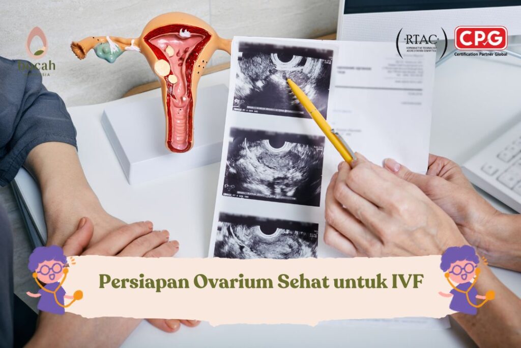 Persiapan Ovarium Sehat untuk IVF