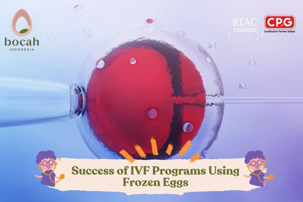 Success of IVF Programs Using Frozen Eggs