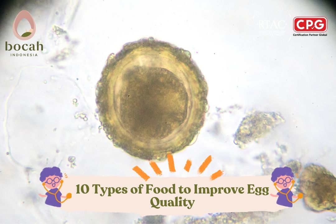 10 Types of Food to Improve Egg Quality