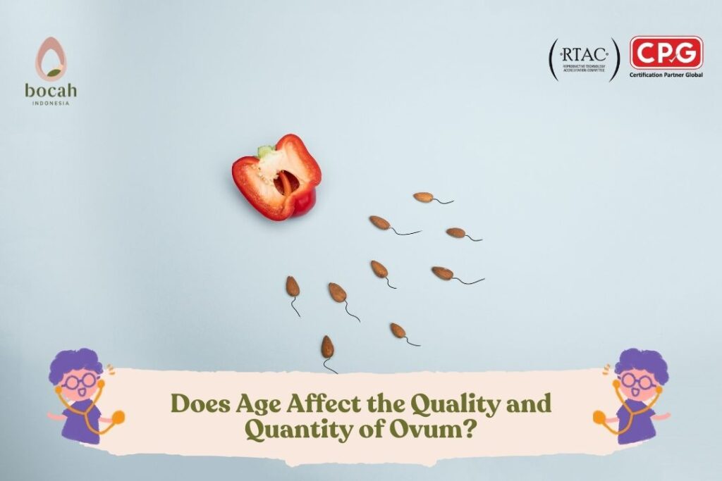 Does Age Affect the Quality and Quantity of Ovum