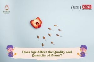 Does Age Affect the Quality and Quantity of Ovum