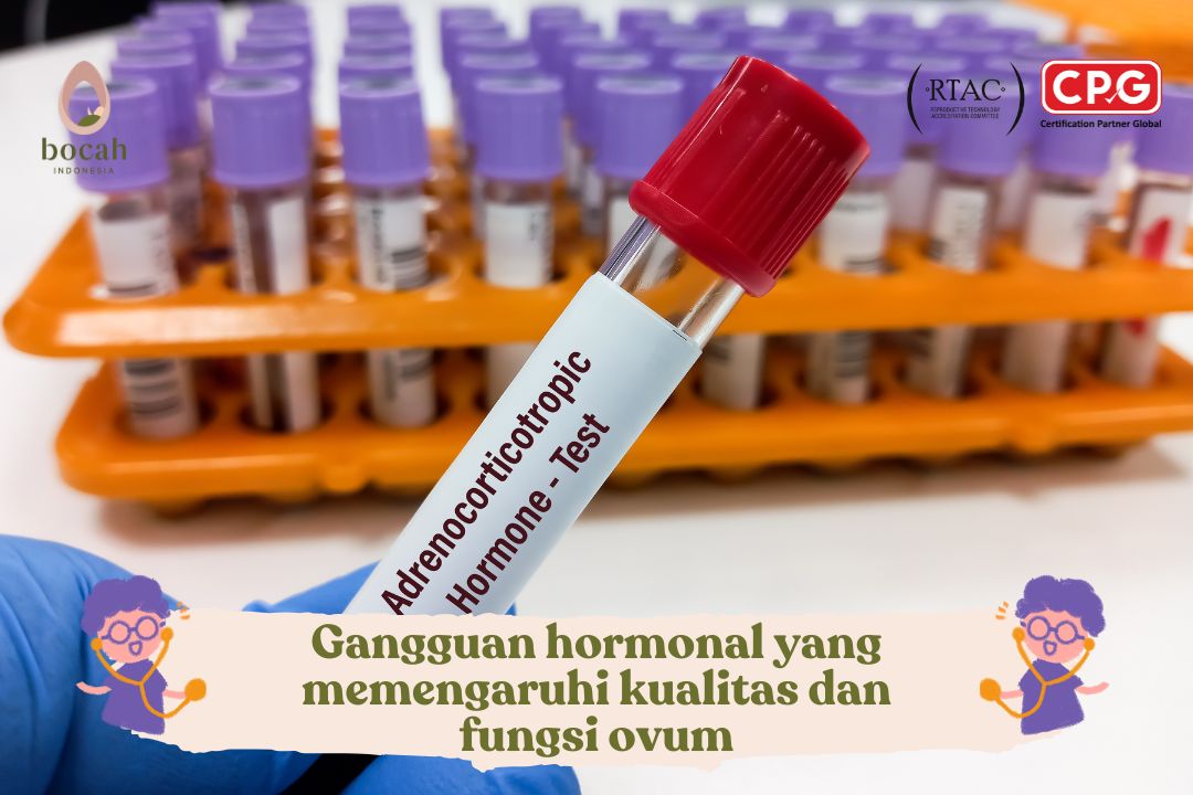 Gangguan hormonal yang memengaruhi kualitas dan fungsi ovum