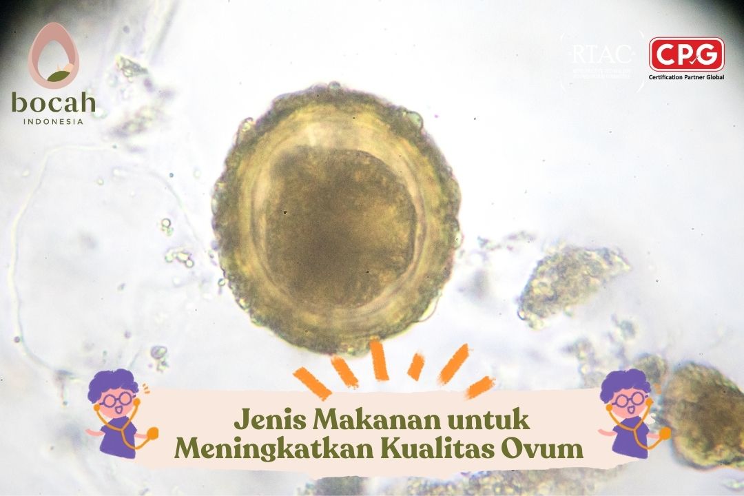 Jenis Makanan untuk Meningkatkan Kualitas Ovum