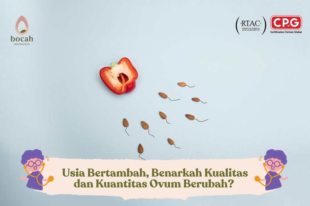 Usia Bertambah, Benarkah Kualitas dan Kuantitas Ovum Berubah