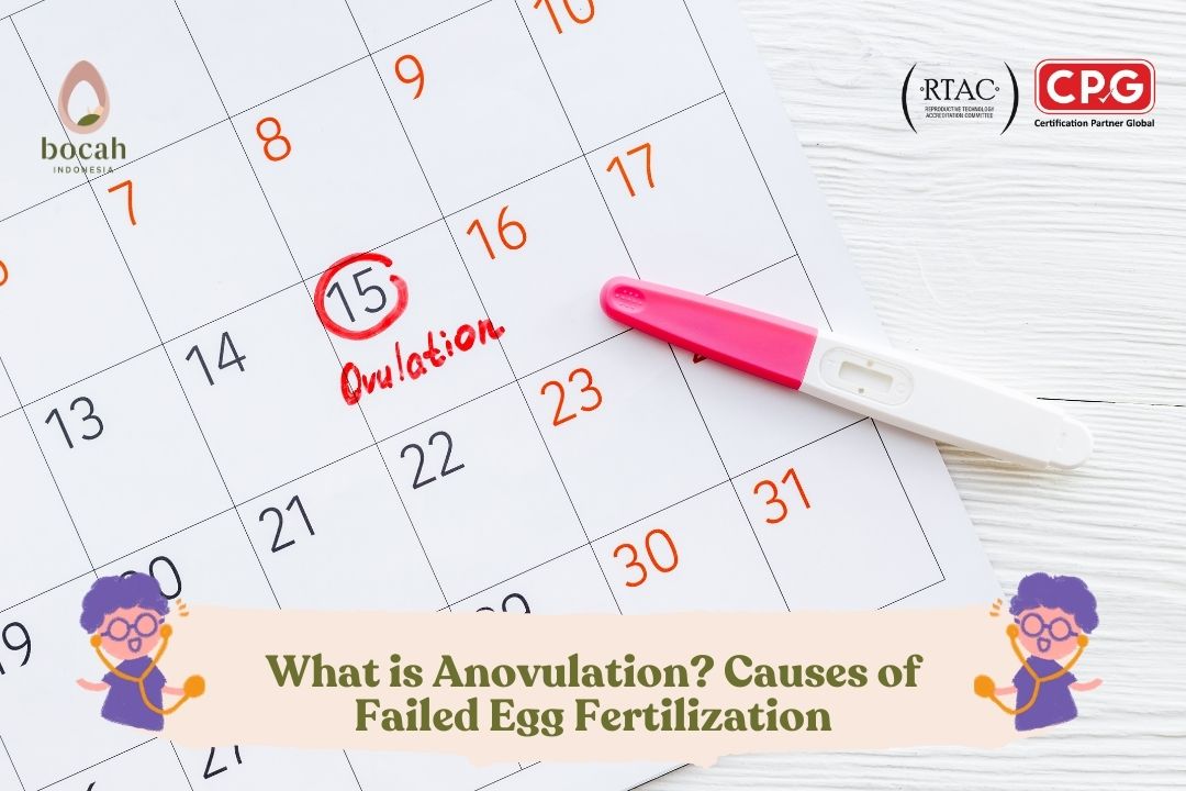 What is Anovulation Causes of Failed Egg Fertilization