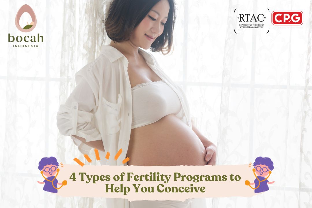 4 Types of Fertility Programs to Help You Conceive