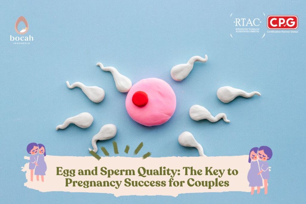 Egg and Sperm Quality The Key to Pregnancy Success for Couples