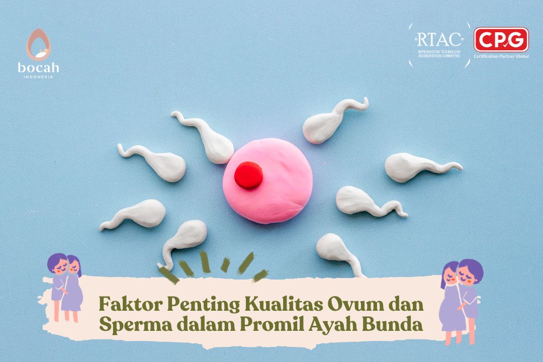 Faktor Penting Kualitas Ovum dan Sperma dalam Promil Ayah Bunda