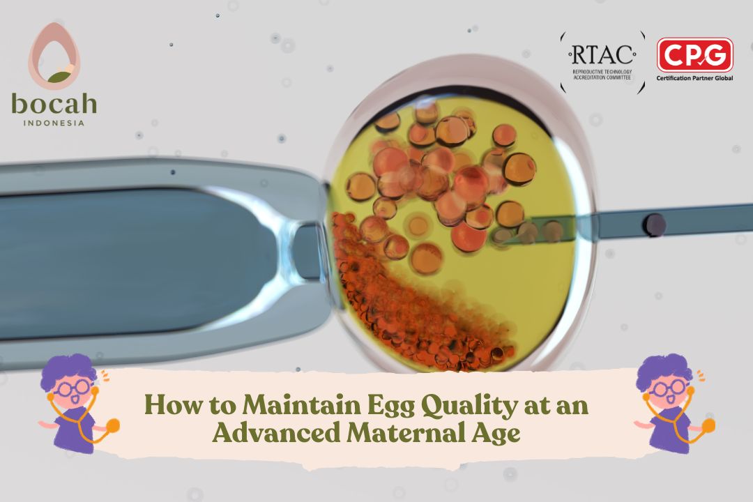 How to Maintain Egg Quality at an Advanced Maternal Age