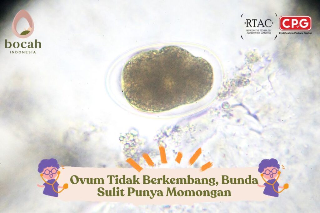 Ovum Tidak Berkembang, Bunda Sulit Punya Momongan