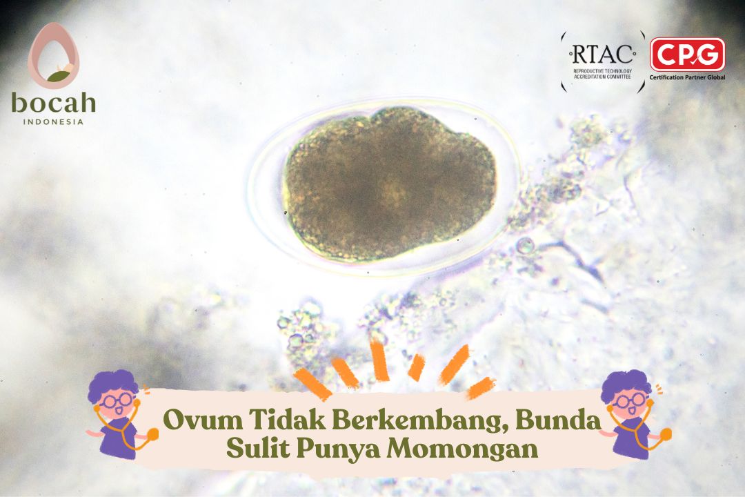 Ovum Tidak Berkembang, Bunda Sulit Punya Momongan
