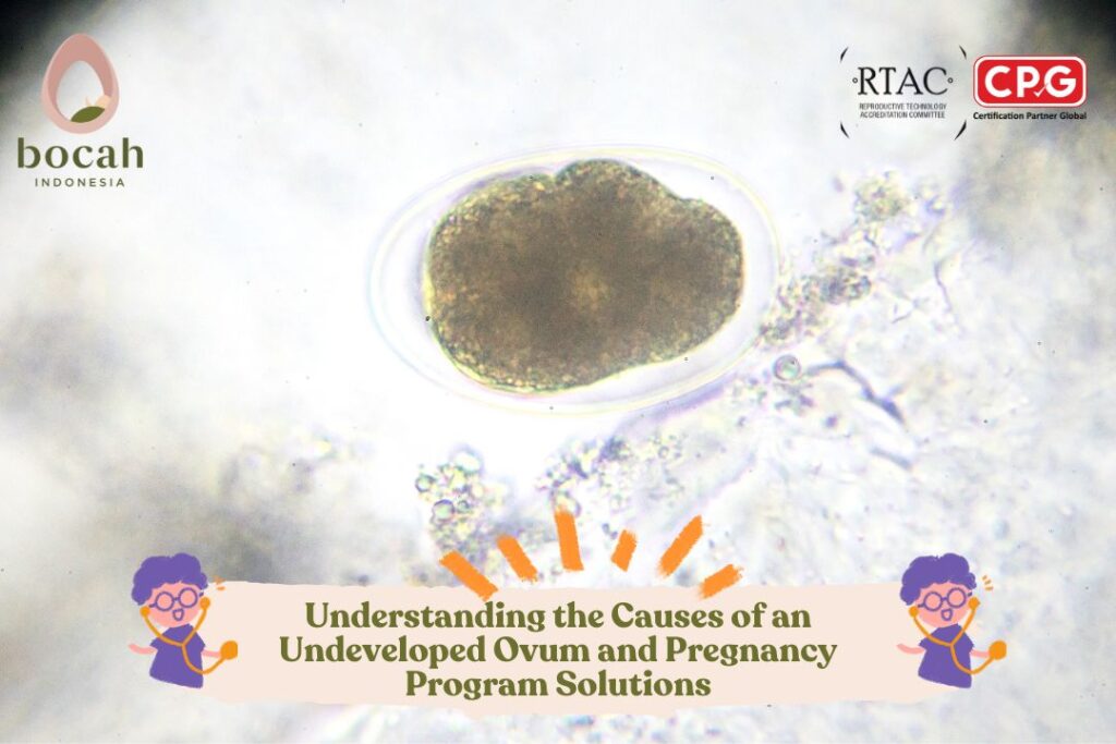 Understanding the Causes of an Undeveloped Ovum and Pregnancy Program Solutions