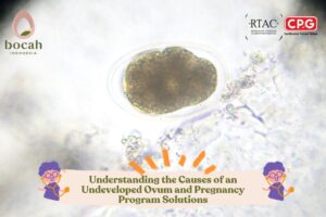 Understanding the Causes of an Undeveloped Ovum and Pregnancy Program Solutions