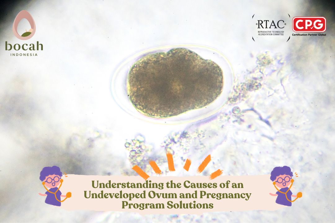 Understanding the Causes of an Undeveloped Ovum and Pregnancy Program Solutions
