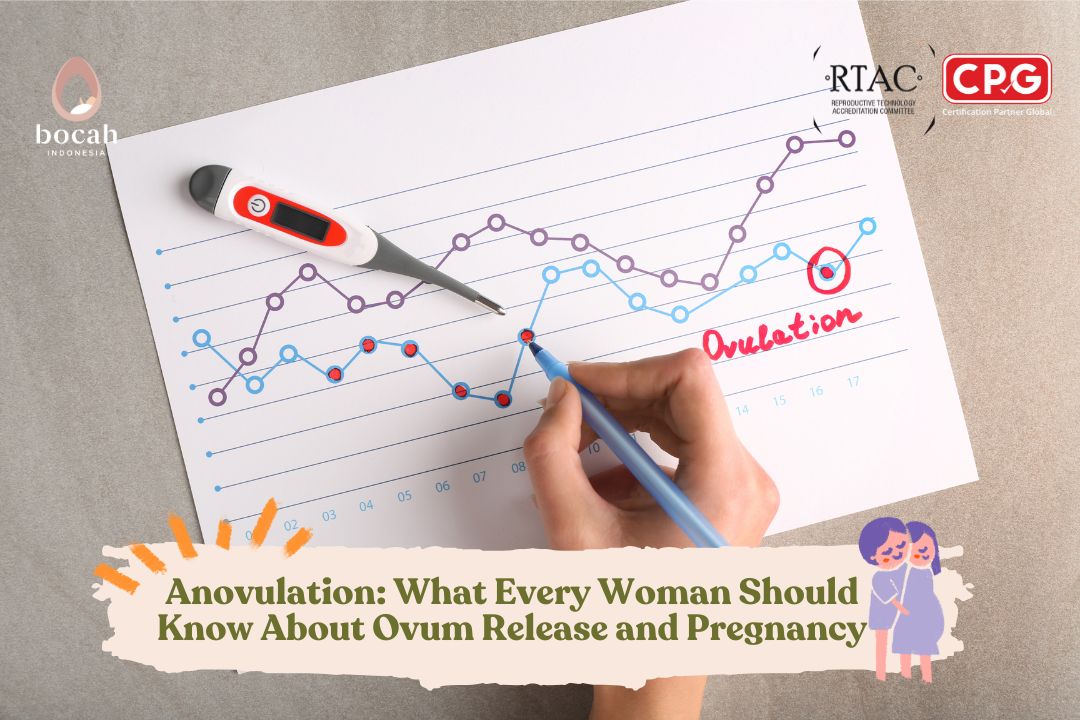 Anovulation What Every Woman Should Know About Ovum Release and Pregnancy