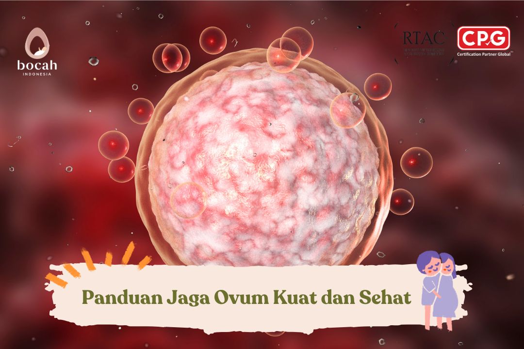 Panduan Jaga Ovum Kuat dan Sehat
