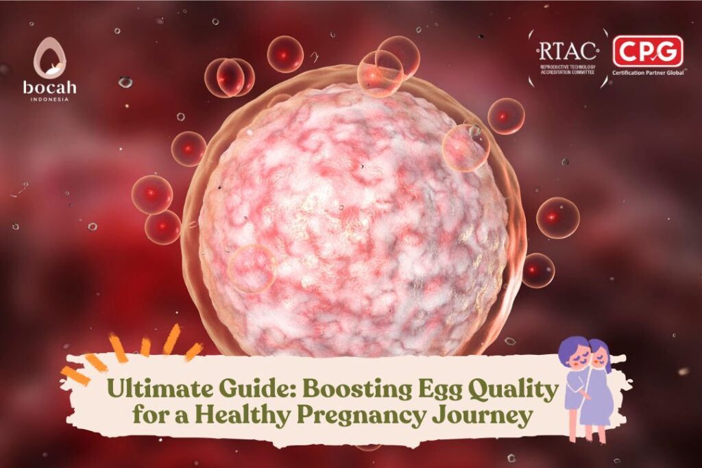 Ultimate Guide Boosting Egg Quality for a Healthy Pregnancy Journey